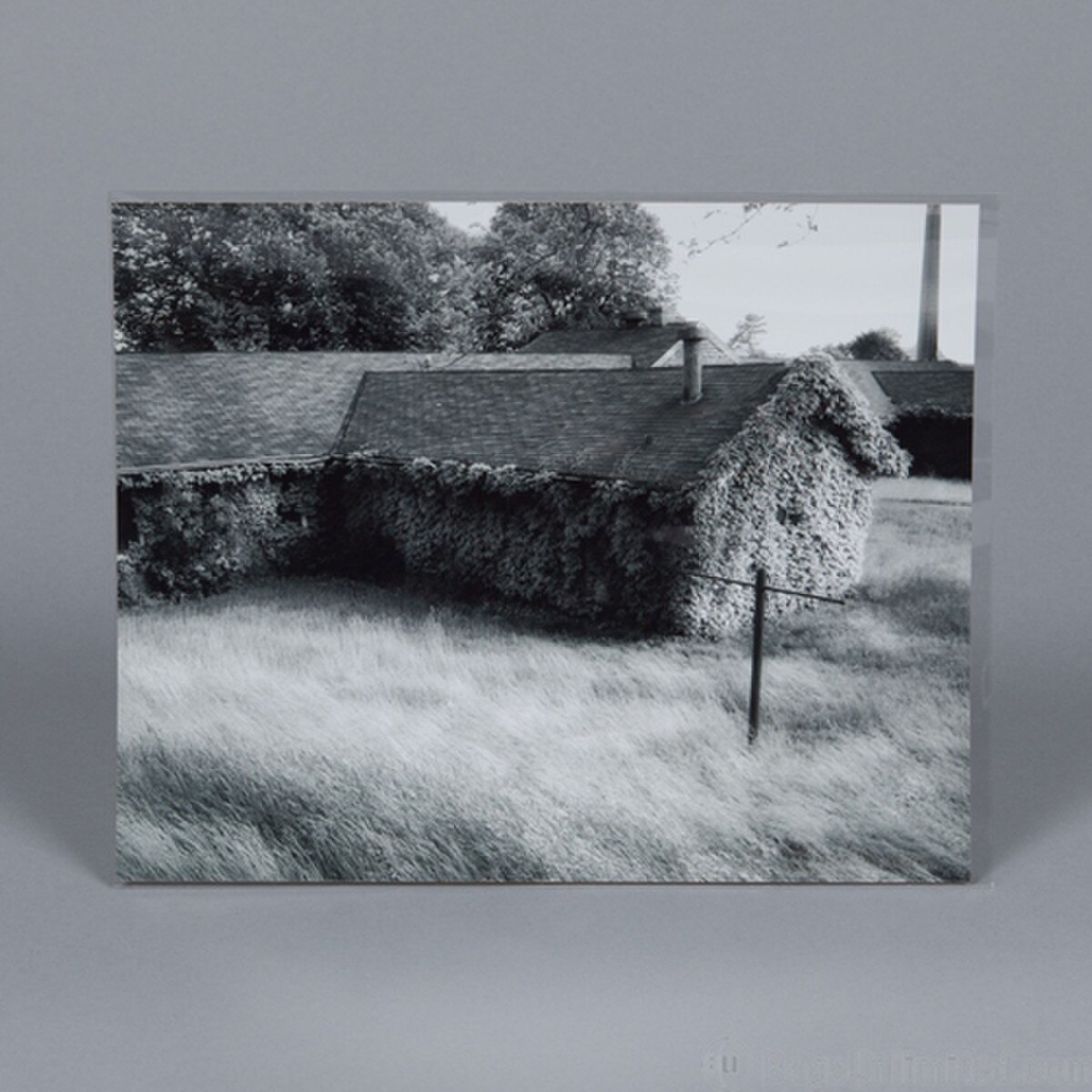 POLYPROPYLENE Sleeves for Photos